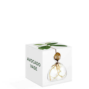 Ilex Studio Avocado Vase